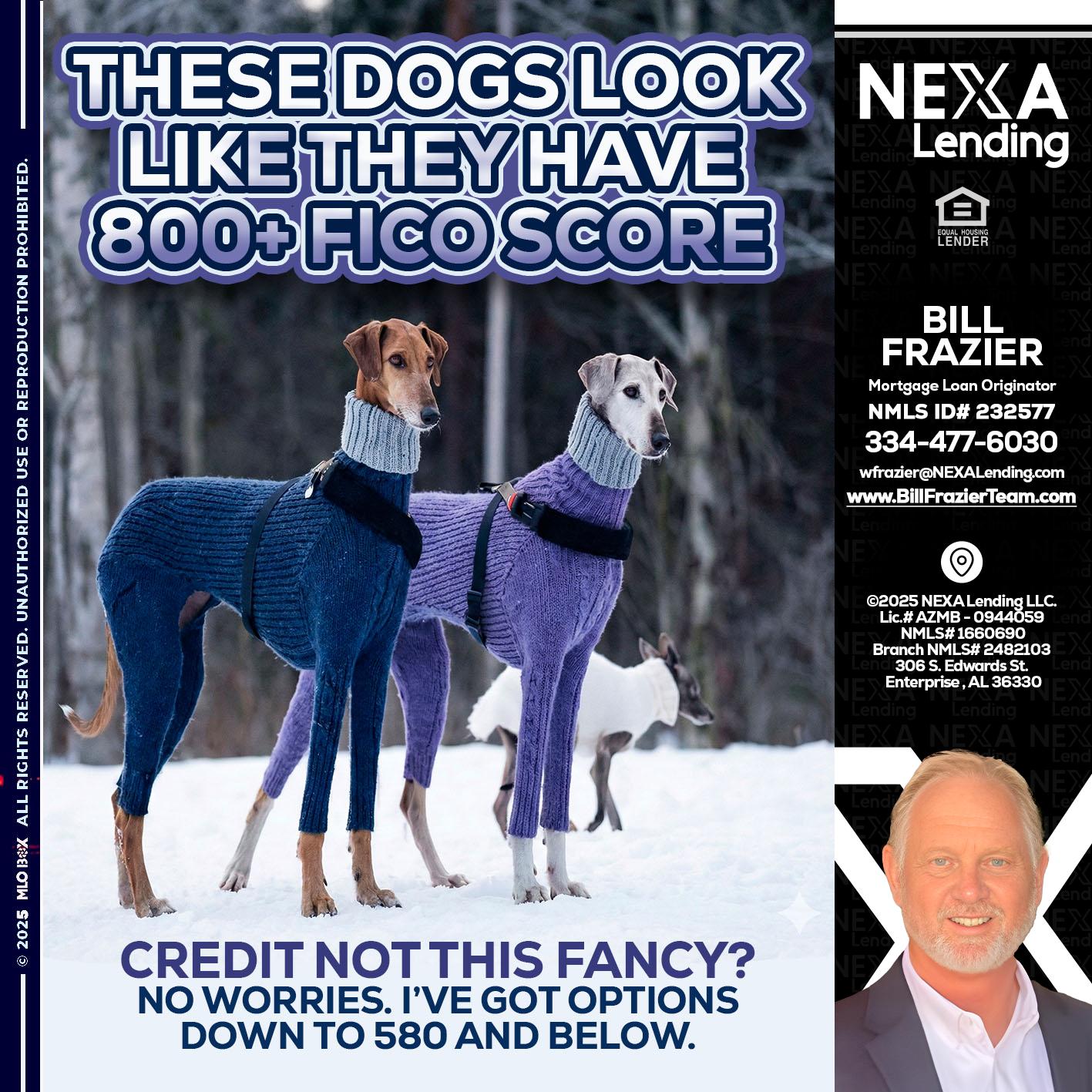 THESE DOGS LOOK - Bill Frazier -Mortgage Loan Originator
